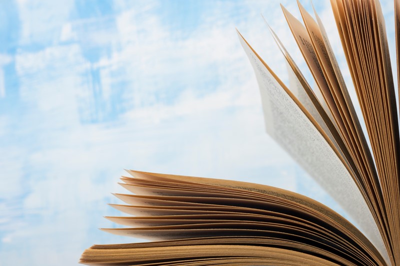 Handboek Dienst Toeslagen nu voor iedereen beschikbaar